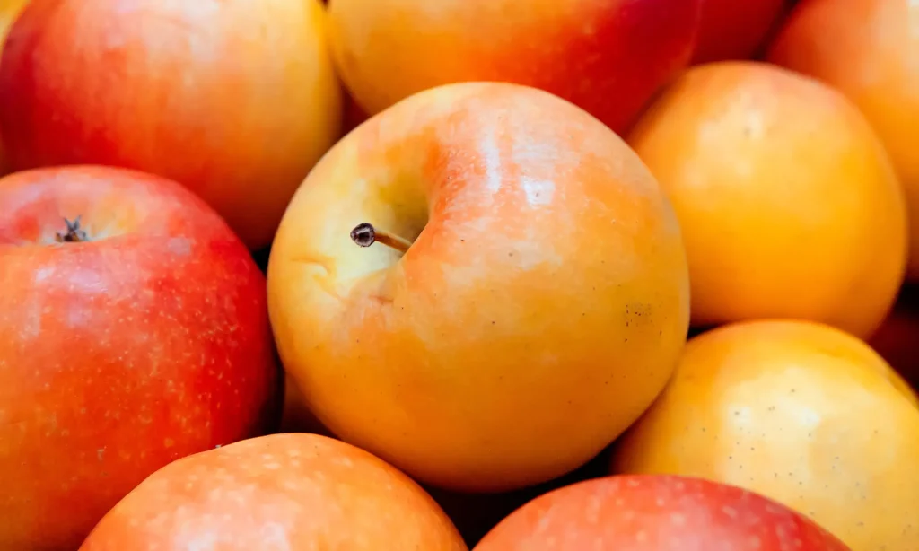 calories de la pomme