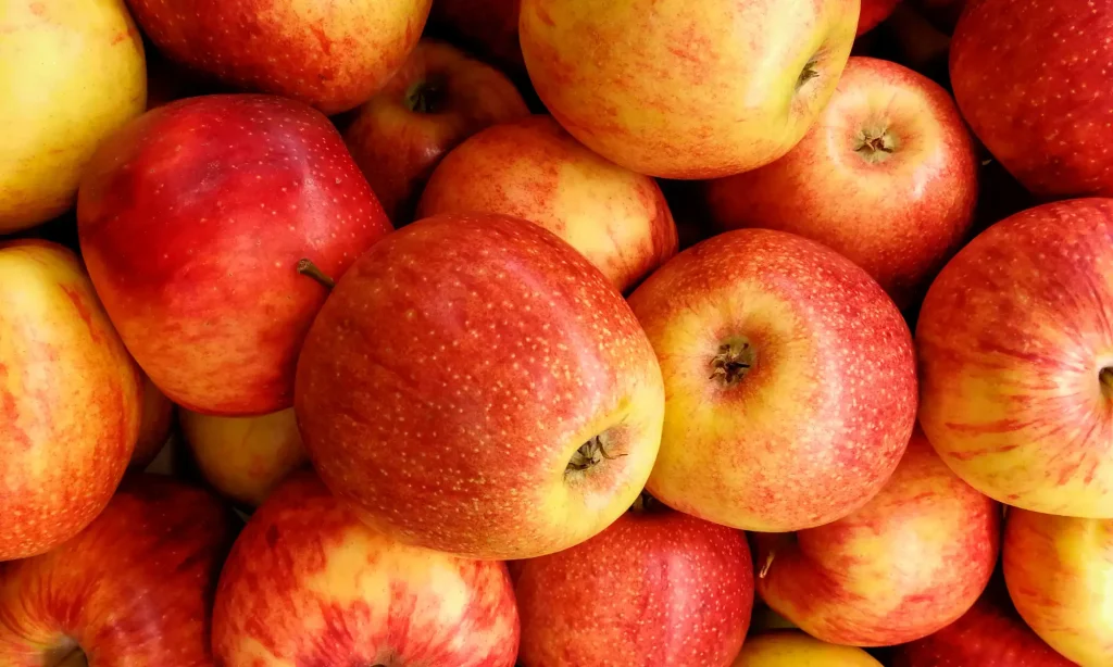 comparatif des valeurs caloriques pour chaque variété de pomme