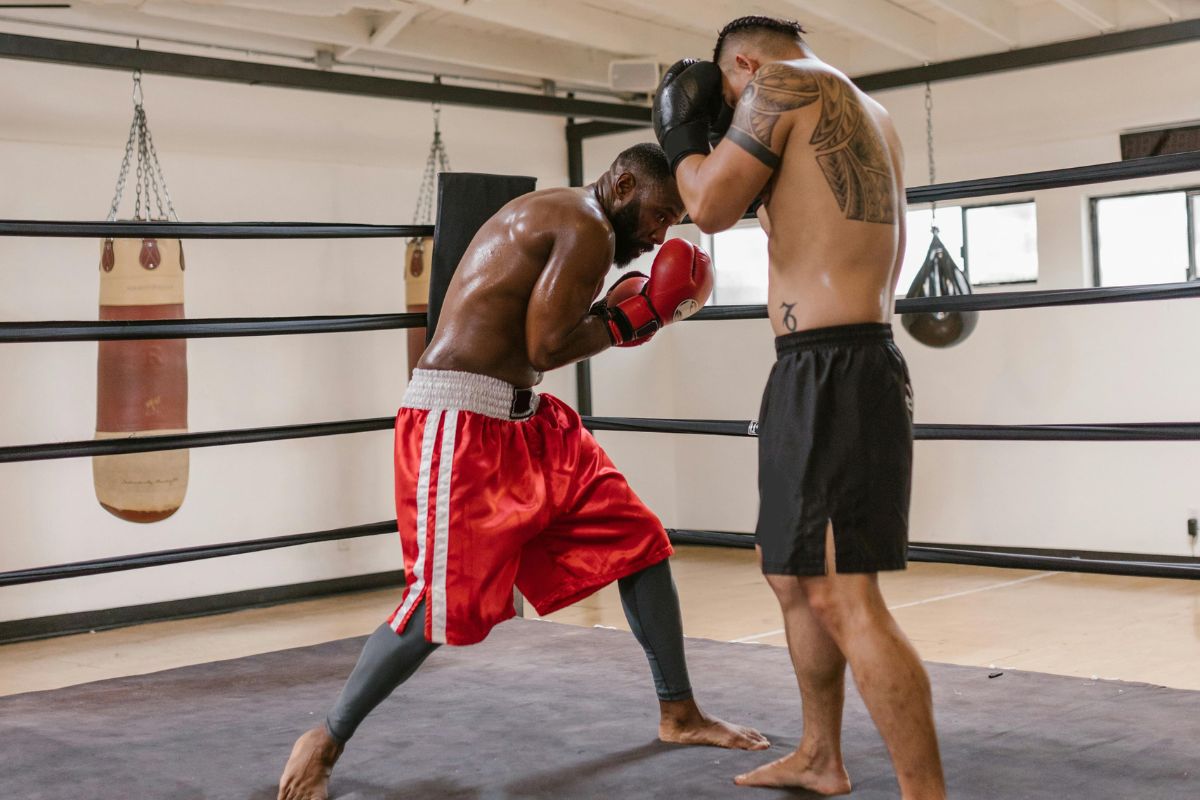 Les meilleurs shorts de boxe