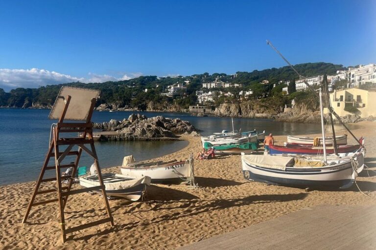 699d7865f3c5c1771927653